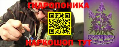наркотики Сланцы