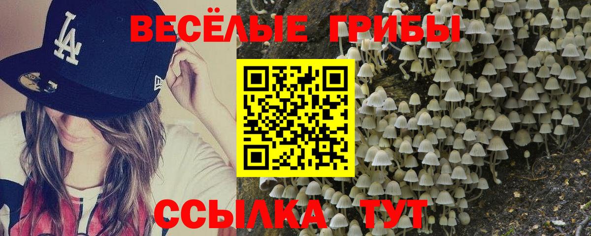 Ставрополь  Псилоцибиновые грибы мухоморы  Вход с VPN  Псилоцибиновые грибы Psilocybine cubensis 