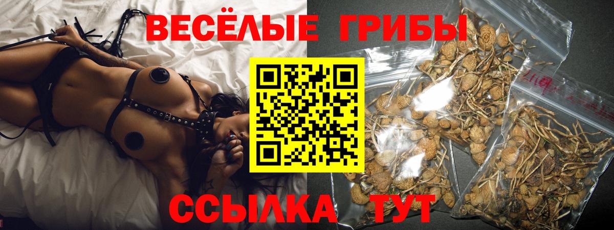 Галлюциногенные грибы ЛСД Ставрополь